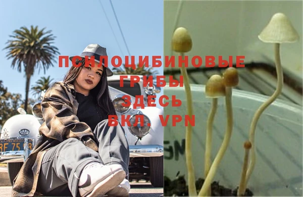 таблы Абинск